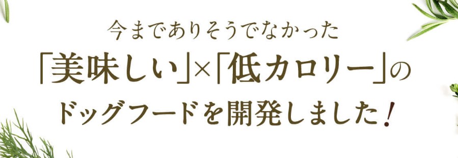 今までありそうになかった低カロリーで美味しいペロリコドッグフードライト