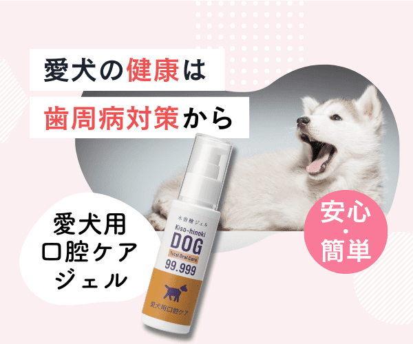 愛犬用口腔ケアジェル