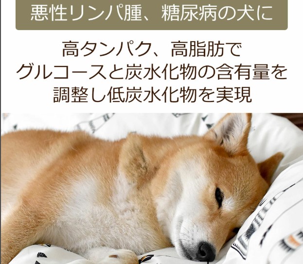 Dr.宿南キセキのごはん　柴犬